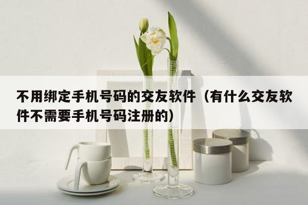 不用绑定手机号码的交友软件（有什么交友软件不需要手机号码注册的）