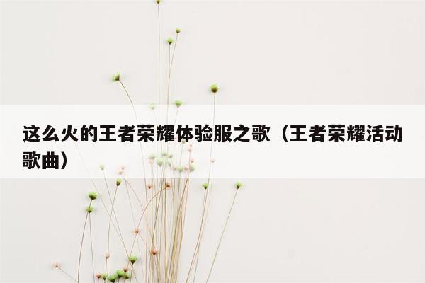 这么火的王者荣耀体验服之歌（王者荣耀活动歌曲）