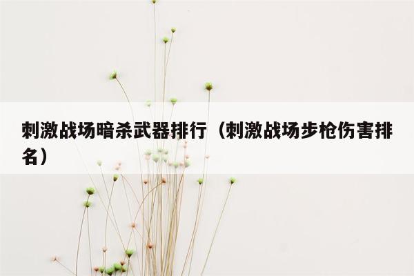 刺激战场暗杀武器排行（刺激战场步枪伤害排名）