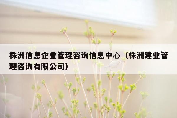 株洲信息企业管理咨询信息中心（株洲建业管理咨询有限公司）