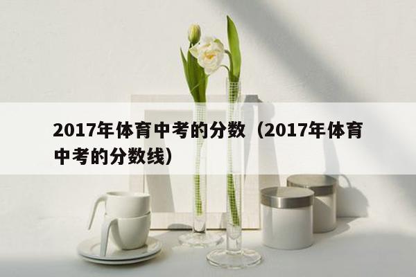 2017年体育中考的分数（2017年体育中考的分数线）