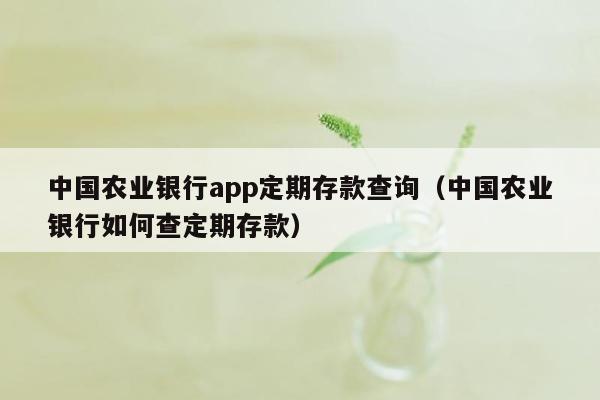 中国农业银行app定期存款查询（中国农业银行如何查定期存款）