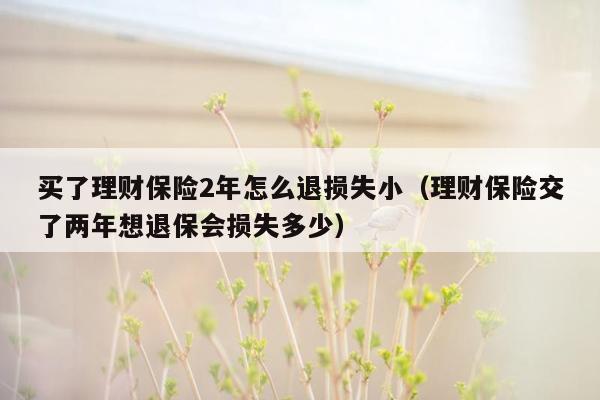 买了理财保险2年怎么退损失小（理财保险交了两年想退保会损失多少）