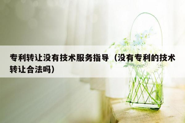 专利转让没有技术服务指导（没有专利的技术转让合法吗）