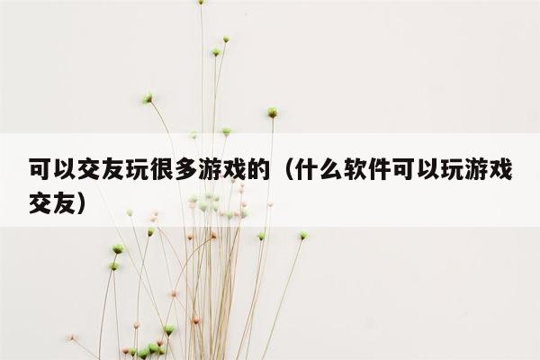 可以交友玩很多游戏的（什么软件可以玩游戏交友）