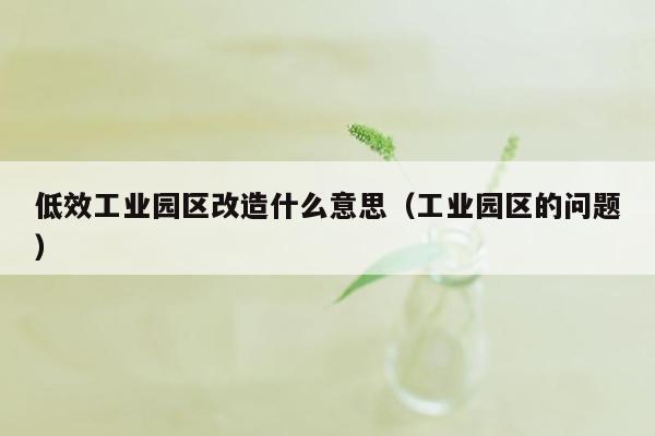 低效工业园区改造什么意思（工业园区的问题）