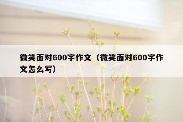 微笑面对600字作文（微笑面对600字作文怎么写）