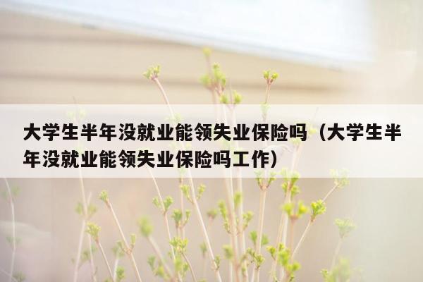 大学生半年没就业能领失业保险吗（大学生半年没就业能领失业保险吗工作）