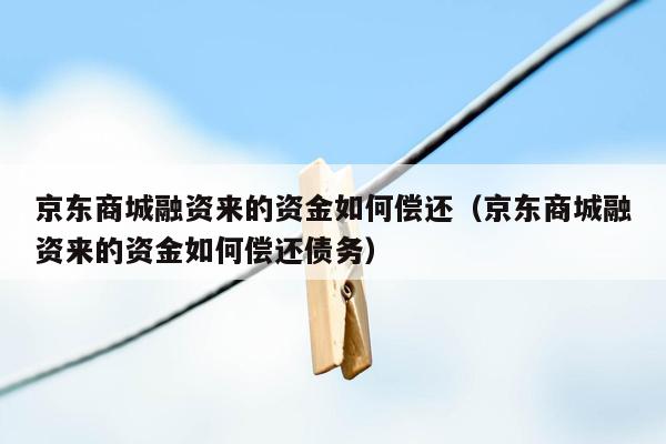 京东商城融资来的资金如何偿还（京东商城融资来的资金如何偿还债务）