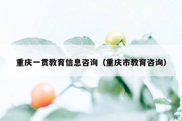 重庆一贯教育信息咨询（重庆市教育咨询）