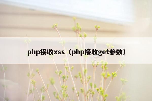 php接收xss（php接收get参数）