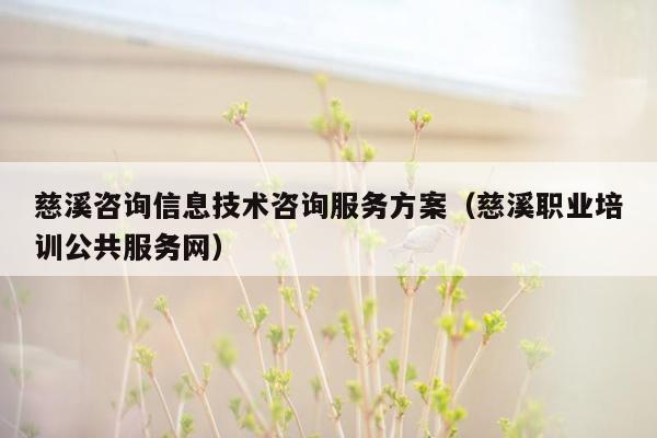 慈溪咨询信息技术咨询服务方案（慈溪职业培训公共服务网）