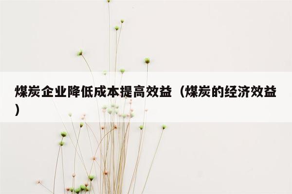 煤炭企业降低成本提高效益（煤炭的经济效益）