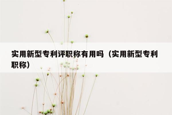 实用新型专利评职称有用吗（实用新型专利 职称）