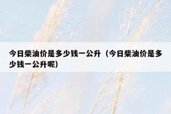 今日柴油价是多少钱一公升（今日柴油价是多少钱一公升呢）