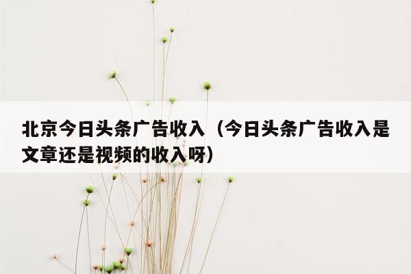 北京今日头条广告收入（今日头条广告收入是文章还是视频的收入呀）