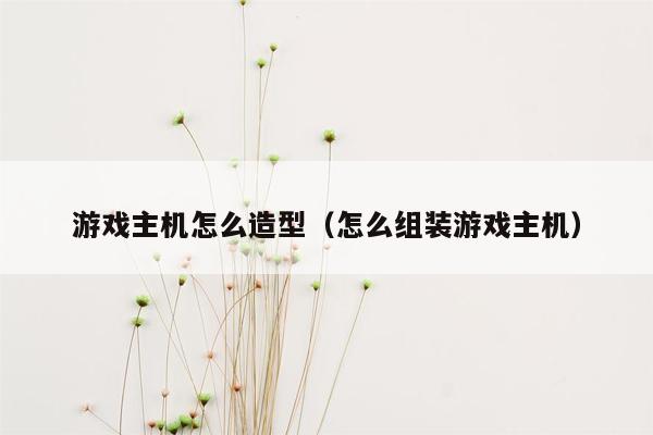 游戏主机怎么造型（怎么组装游戏主机）