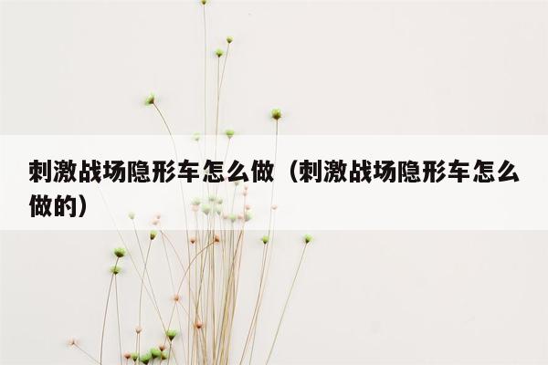 刺激战场隐形车怎么做（刺激战场隐形车怎么做的）