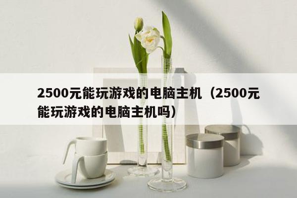 2500元能玩游戏的电脑主机（2500元能玩游戏的电脑主机吗）