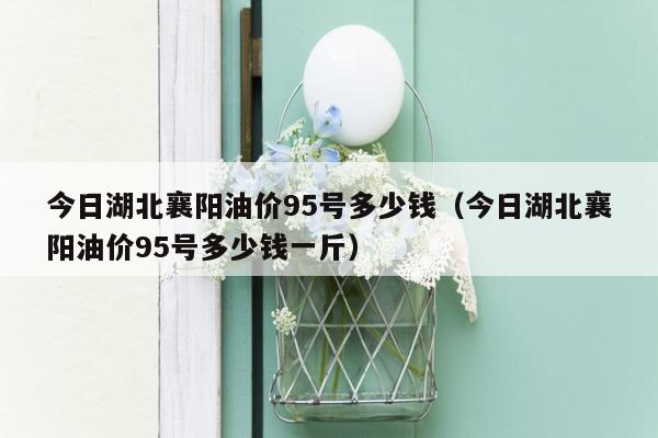 今日湖北襄阳油价95号多少钱（今日湖北襄阳油价95号多少钱一斤）