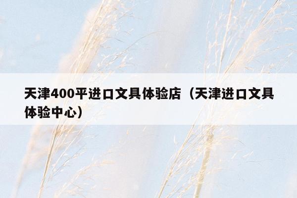 天津400平进口文具体验店（天津进口文具体验中心）