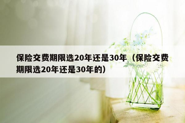 保险交费期限选20年还是30年（保险交费期限选20年还是30年的）