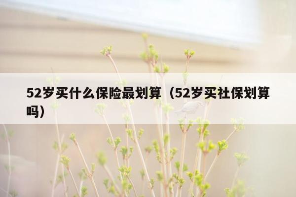 52岁买什么保险最划算（52岁买社保划算吗）