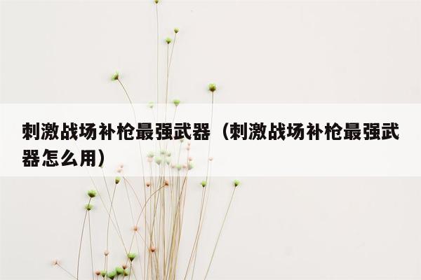 刺激战场补枪最强武器（刺激战场补枪最强武器怎么用）