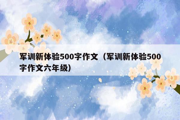 军训新体验500字作文（军训新体验500字作文六年级）