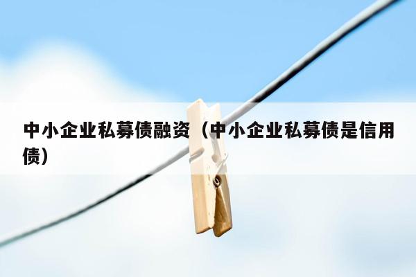 中小企业私募债融资（中小企业私募债是信用债）