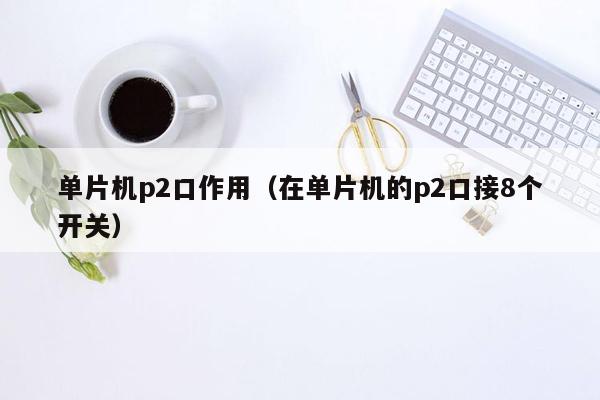 单片机p2口作用（在单片机的p2口接8个开关）