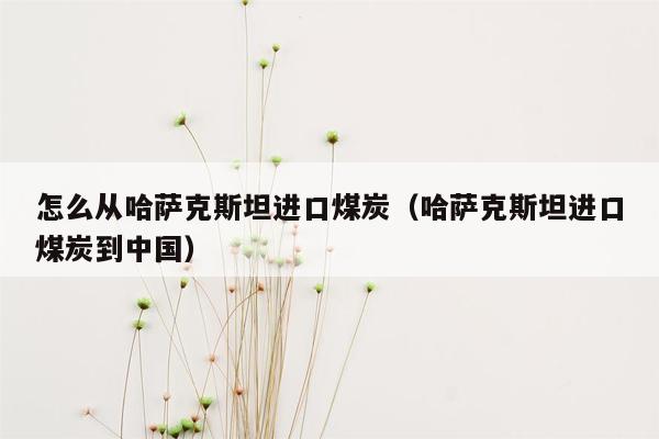 怎么从哈萨克斯坦进口煤炭（哈萨克斯坦进口煤炭到中国）