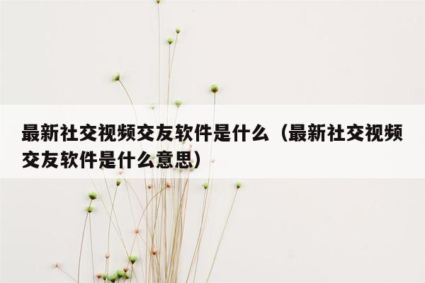 最新社交视频交友软件是什么（最新社交视频交友软件是什么意思）