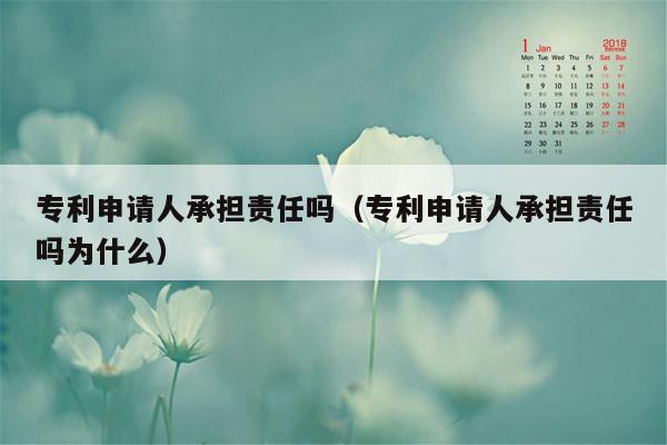 专利申请人承担责任吗（专利申请人承担责任吗为什么）