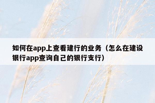 如何在app上查看建行的业务（怎么在建设银行app查询自己的银行支行）