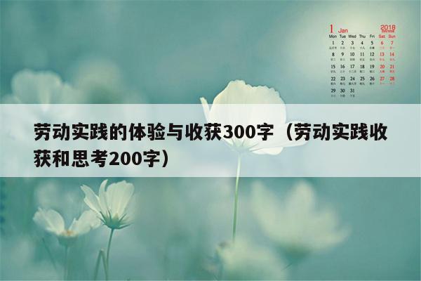 劳动实践的体验与收获300字（劳动实践收获和思考200字）