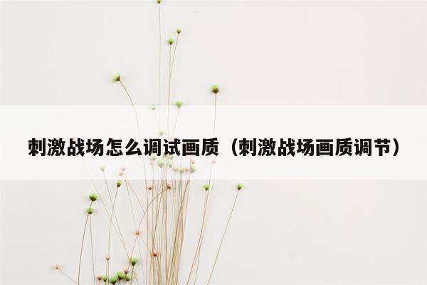 刺激战场怎么调试画质（刺激战场画质调节）