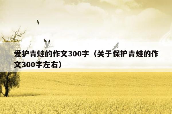 爱护青蛙的作文300字（关于保护青蛙的作文300字左右）