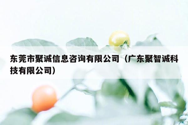 东莞市聚诚信息咨询有限公司（广东聚智诚科技有限公司）