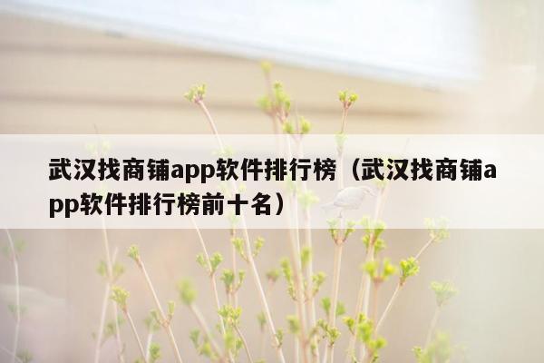 武汉找商铺app软件排行榜（武汉找商铺app软件排行榜前十名）