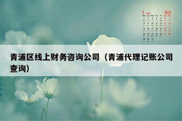 青浦区线上财务咨询公司（青浦代理记账公司查询）