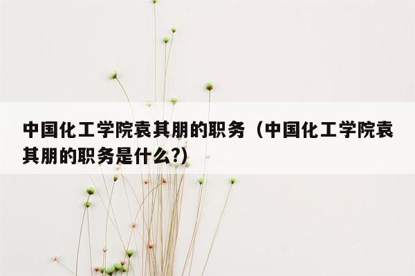 中国化工学院袁其朋的职务（中国化工学院袁其朋的职务是什么?）