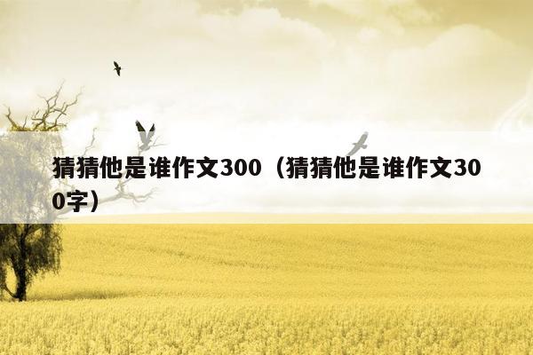 猜猜他是谁作文300（猜猜他是谁作文300字）