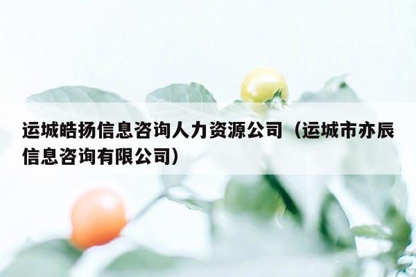 运城皓扬信息咨询人力资源公司（运城市亦辰信息咨询有限公司）