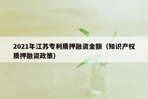 2021年江苏专利质押融资金额（知识产权质押融资政策）