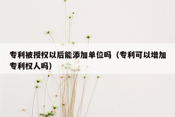 专利被授权以后能添加单位吗（专利可以增加专利权人吗）