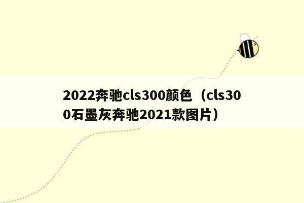 2022奔驰cls300颜色（cls300石墨灰奔驰2021款图片）