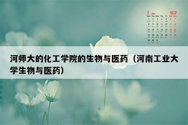 河师大的化工学院的生物与医药（河南工业大学生物与医药）