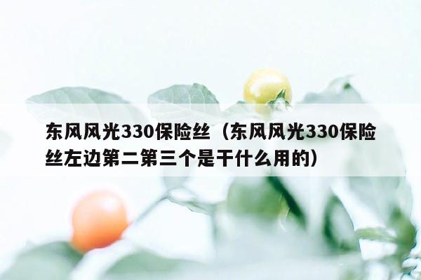 东风风光330保险丝（东风风光330保险丝左边第二第三个是干什么用的）