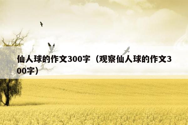 仙人球的作文300字（观察仙人球的作文300字）